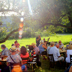 Philippe M&eacute;nard